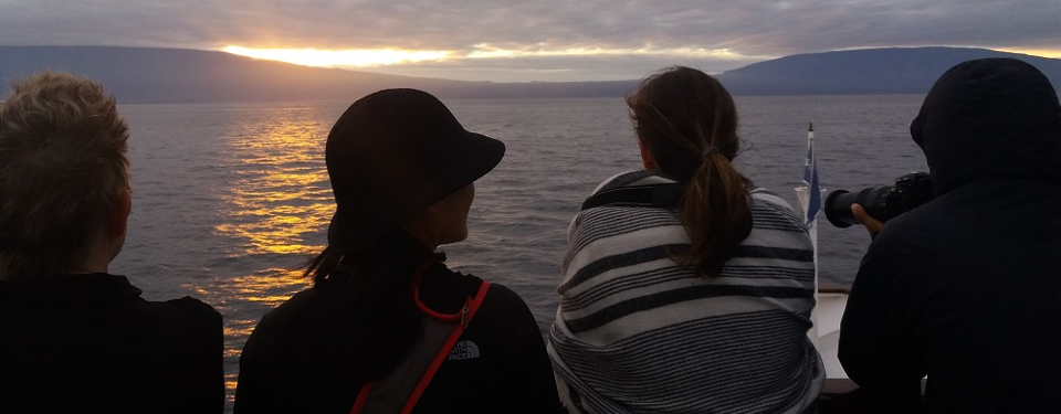 Whale watching during sunrise in the Galapagos islands