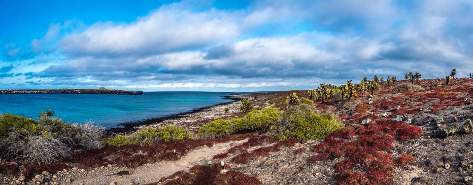 Galapagos islands: World Heritage site