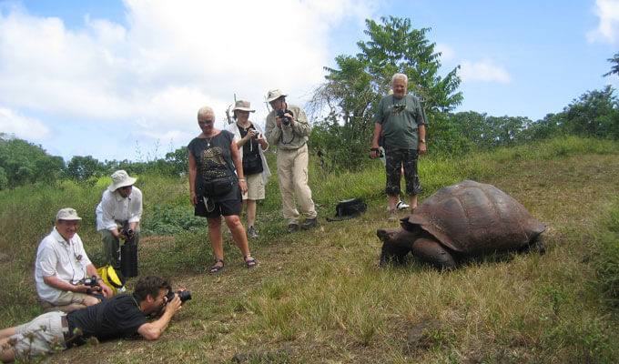 Giant tortoise of the Galapagos islands