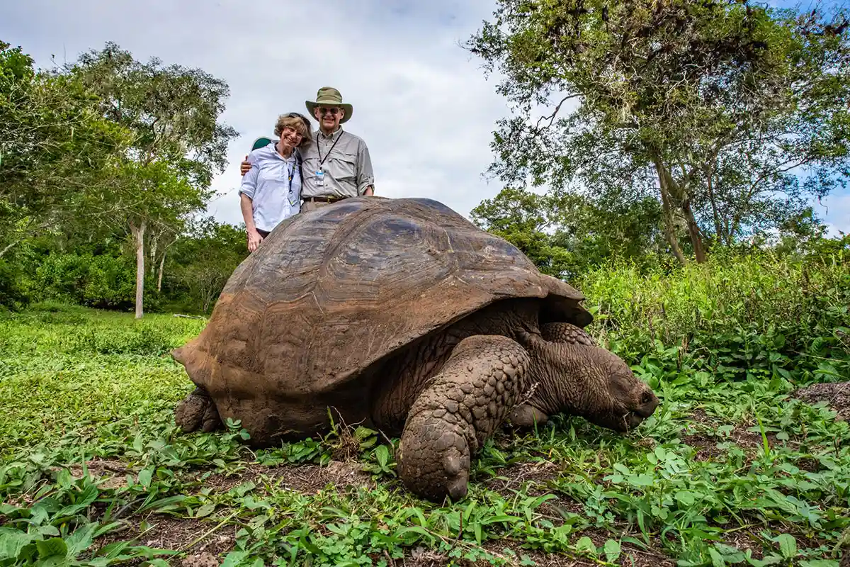 Tortuga gigante de las Galápagos.