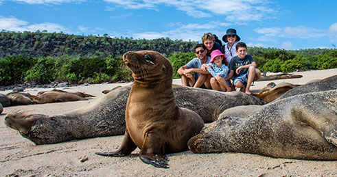 Family with Galapagos sea lions