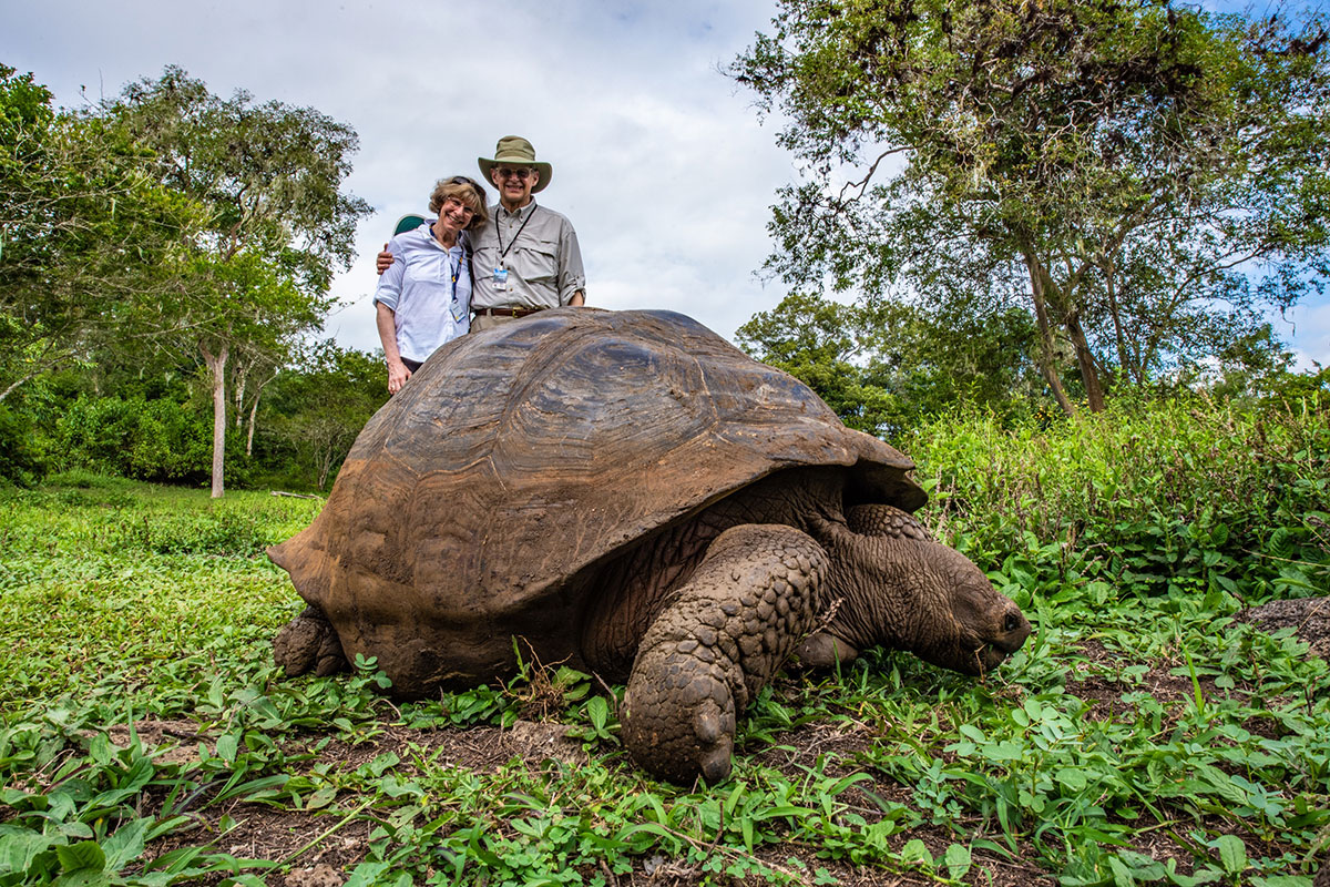 Galapagos giant tortoise
