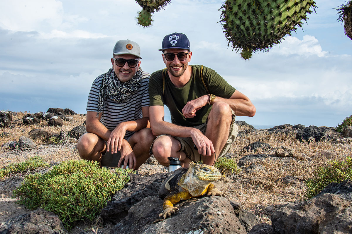 Land iguana in the Galapagos Islands