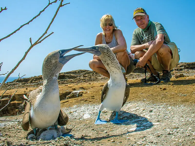 Tourists up close with blue-footed boobies at Punta Pitt, reflecting Galapagos wildlife encounters.