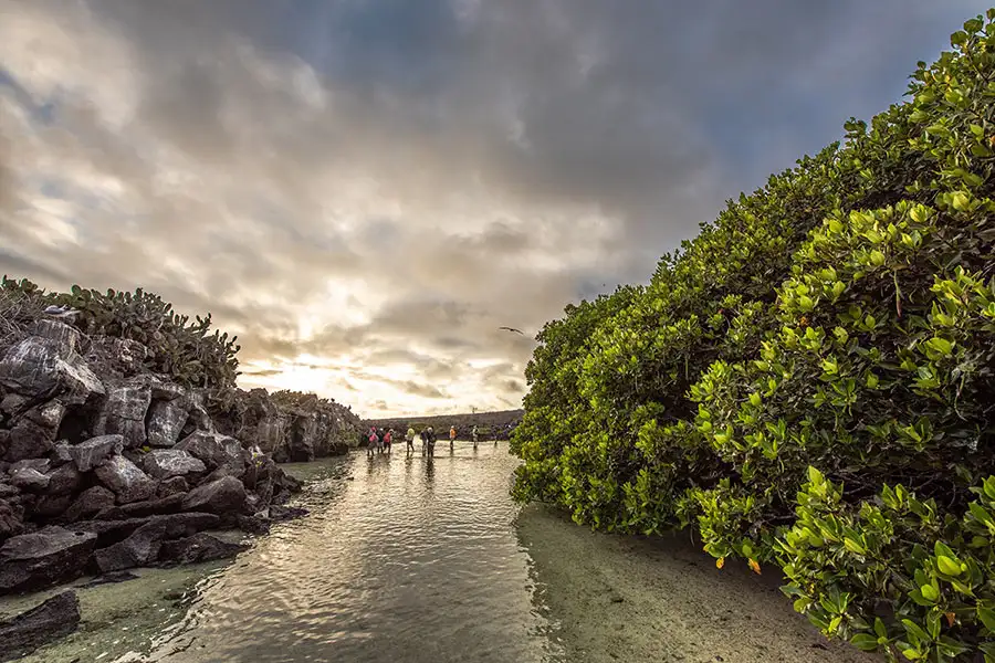 The dynamic landscapes of Darwin Bay on Genovesa Island