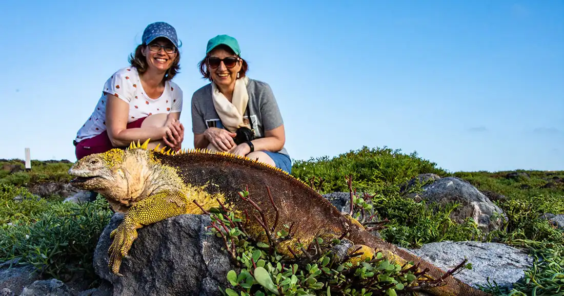 ¡Las Islas Galápagos te dan la increíble oportunidad de ver animales magníficos de cerca!