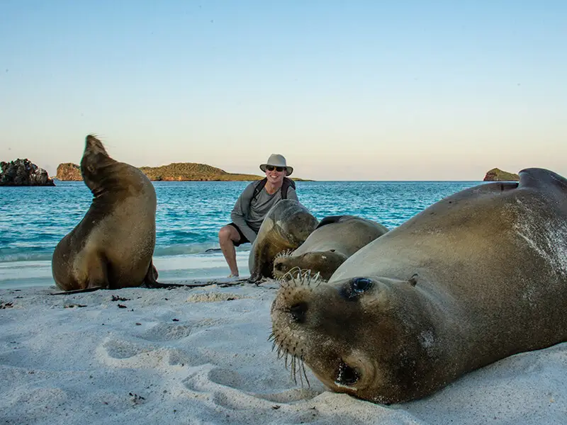 Tourist with sea lions on the pristine sands of Gardner Bay, Yacht Isabela II in the distance.